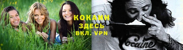 марихуана Богородицк